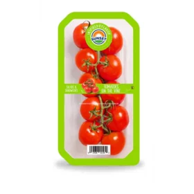 TOMATOES ON VINE
